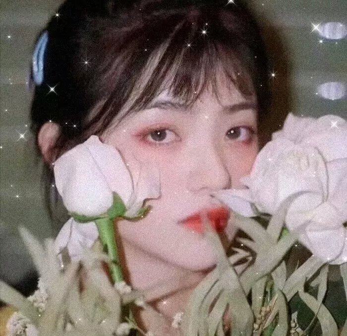 渡你一世安暖